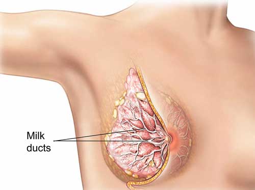 Nipple and Skin Sparing Mastectomy